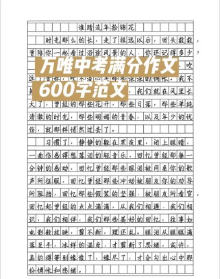 中考600字 作文大全