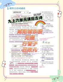 九上古诗课后有何重点与考点？