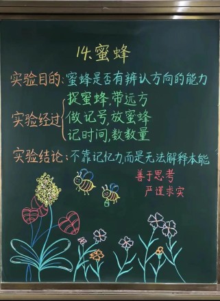 蜂教学设计如何突破古诗意象理解难点？