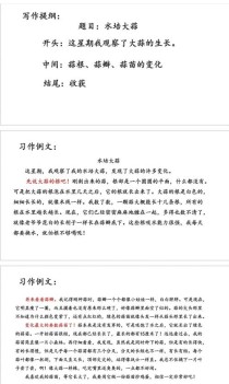 三年级绝招作文300字怎么写？