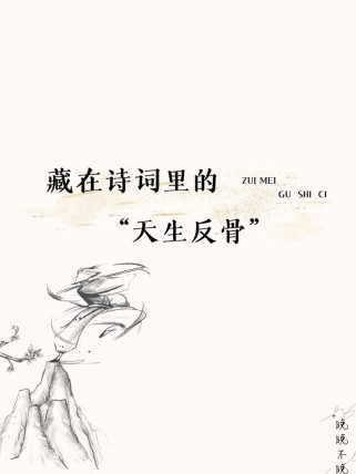 反衬手法在古诗中如何营造意境？