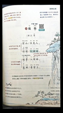 小学古诗词教学如何有效提升学生素养？