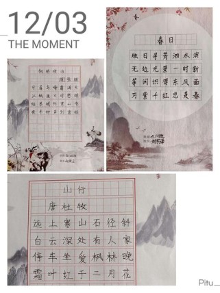 古诗文阅读比赛究竟比什么？