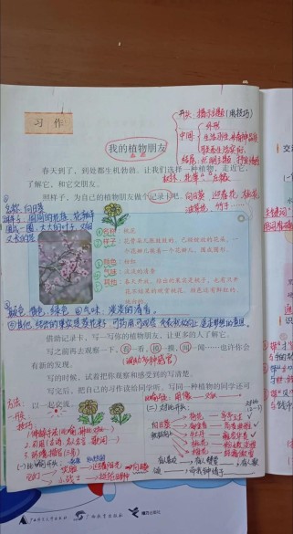 三年级下册语文第一单元重点学什么？