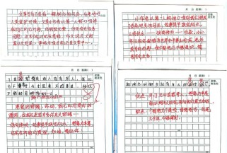 小学作文评语如何精准又实用？