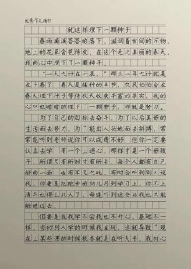 埋下种子后，如何开出满分作文之花？