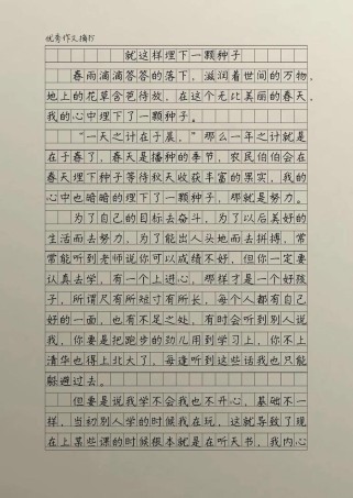 埋下种子后，如何开出满分作文之花？