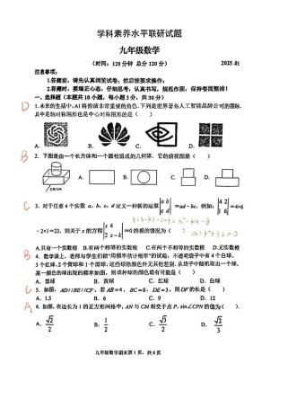 2025九年级期末试卷