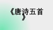 八上古诗词课件，如何高效掌握重点考点？