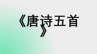 八上古诗词课件，如何高效掌握重点考点？