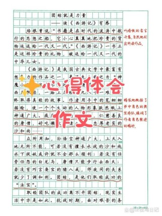 七年级新生活，适应与成长有何挑战？