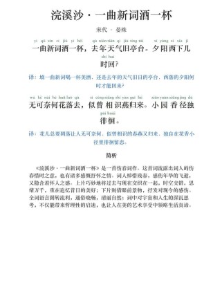 初中古诗词赏析答案怎么找？