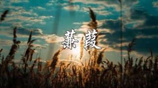 Flash如何制作蒹葭古诗动画？