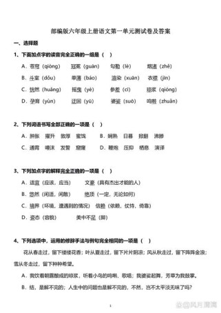 六年级语文题目及答案