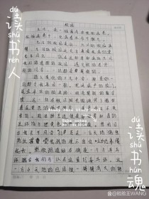 七年级上册第一单元作文600字怎么写？