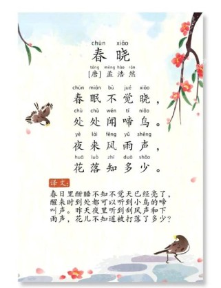 春晓里花落知多少是写春天美景还是惜春之情？