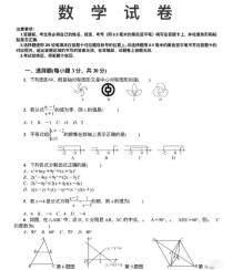 八年级下册思品期末试卷难点与考点解析？