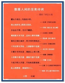 古诗表达手法究竟有哪些？