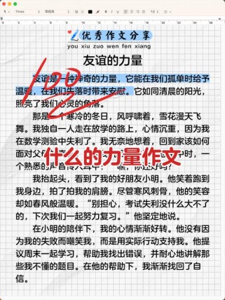 什么的力量究竟指何物？