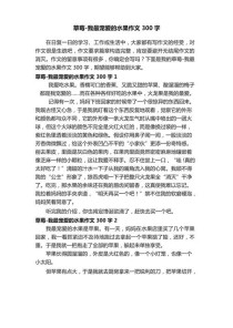 你最喜欢的事物，藏着怎样的故事？