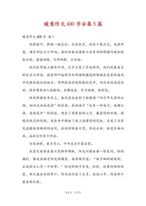 心里暖暖作文600字