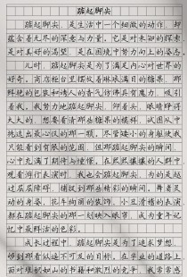 2005年满分作文有何秘诀？