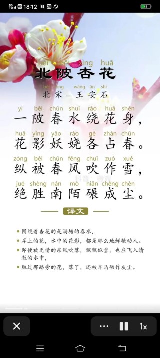 古诗中杏花意象有哪些经典篇章？