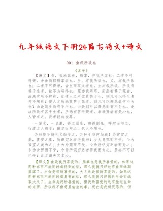 九下语文古诗最简翻译