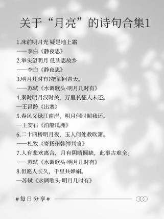 月下飞天镜描绘的是何种奇幻景象？