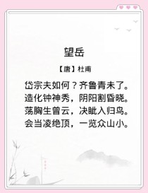 八年级杜甫诗三首，家国情怀与人生悲欢如何交织？