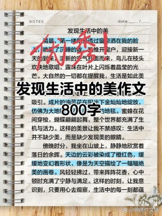 我发现也美丽作文