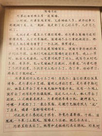 围墙的外面 作文