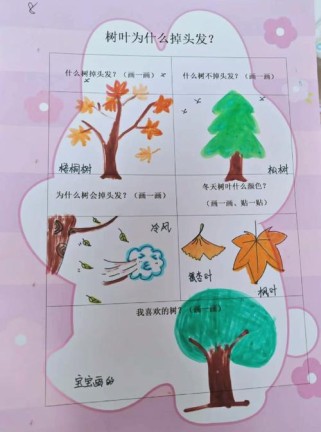 大树的作用有哪些一年级