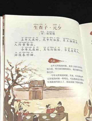 元宵节古诗有哪些经典初中篇目？