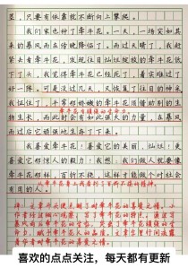 紫藤萝与牵牛花，谁更懂生命的绽放？