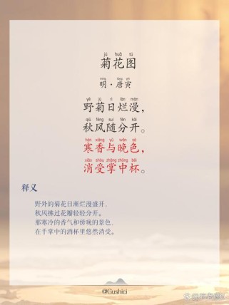 初中菊诗里藏着多少秋日密码？