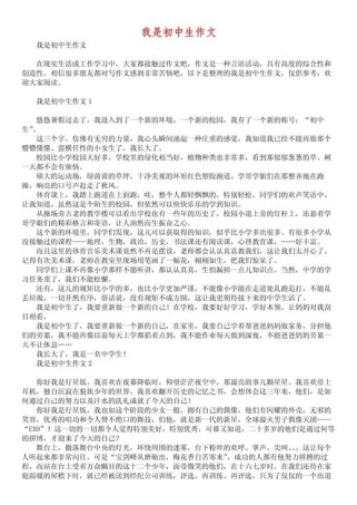作文我是一名中学生