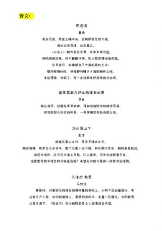 初一第四课古诗意思如何理解？