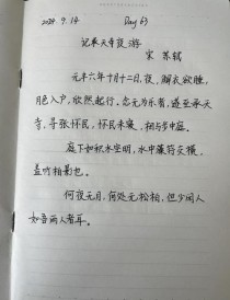 记承天寺夜游默写常考哪些重点句？