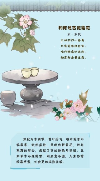 霜降古诗二年级，如何教孩子懂诗意？