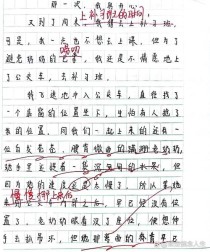 初一语文上册第二单元作文写什么？