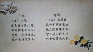 衬托烘托古诗有何妙处？