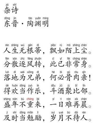 七年级上册杂诗有何独特教学价值？