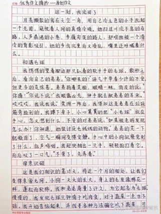 为何我不相信眼泪成为作文主题？