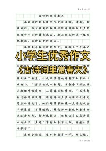 关于古诗词魅力的作文
