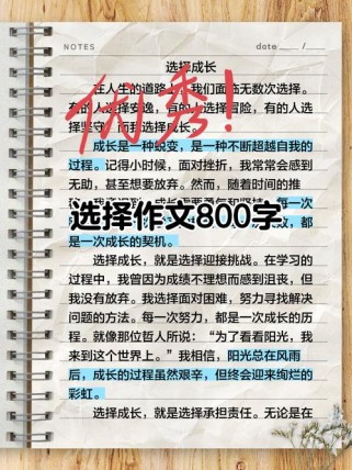 为何我依然选择作文？