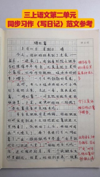 优秀的作文有哪些三年级