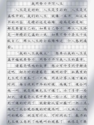 以努力为题的作文