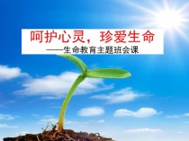 初二年级主题班会主题