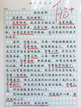 如何写好我的老师300字作文？